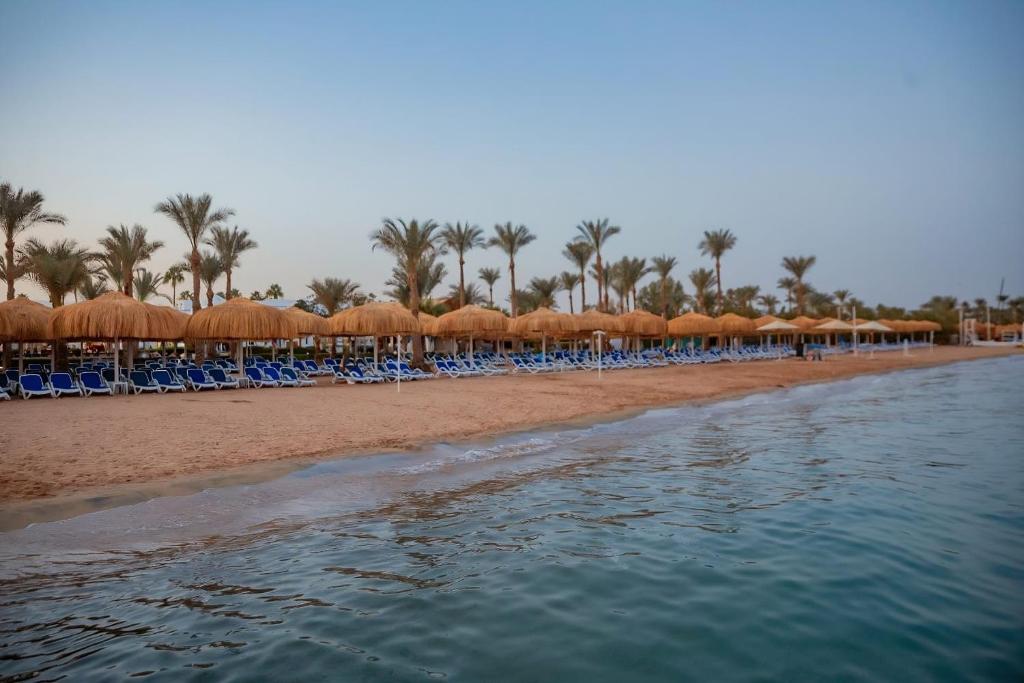 沙姆沙伊赫玛丽蒂姆沙姆沙伊赫度假酒店的海滩上设有椅子和遮阳伞,棕榈树