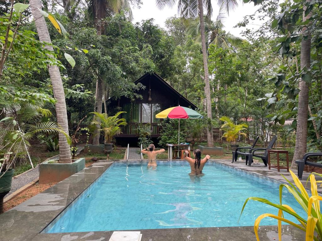 Πισίνα στο ή κοντά στο Nature World Jungle Paradise