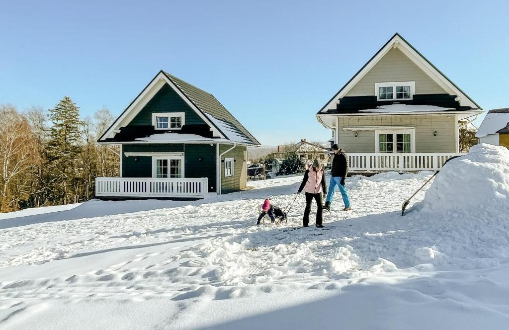 a group of people standing in the snow in front of houses at Domki Dobre Miejsce in Rabka