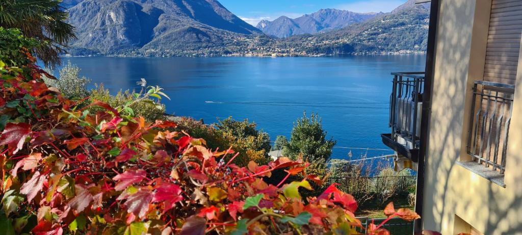 Příroda nedaleko vily