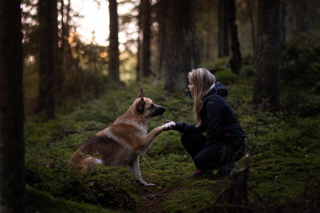 Une femme joue avec un chien dans les bois. dans l'établissement Juhlamenot Oy, à Söderkulla