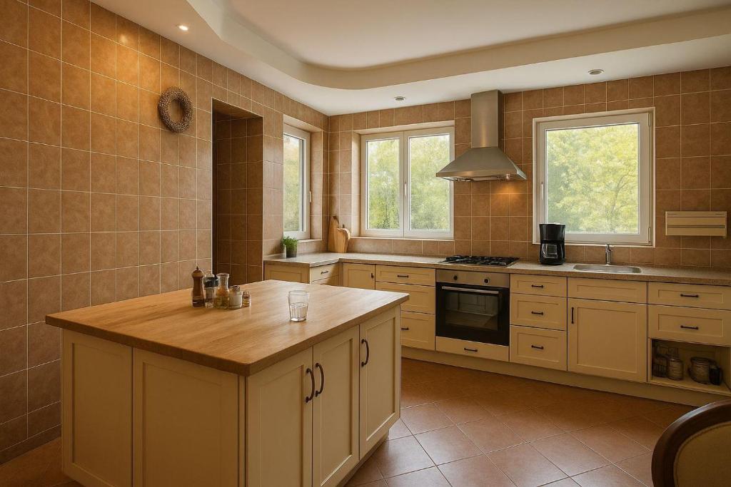 eine große Küche mit einer Theke und einem Waschbecken in der Unterkunft închiriere vilă pentru evenimente, petreceri, team building, sejururi, buftea in Buftea