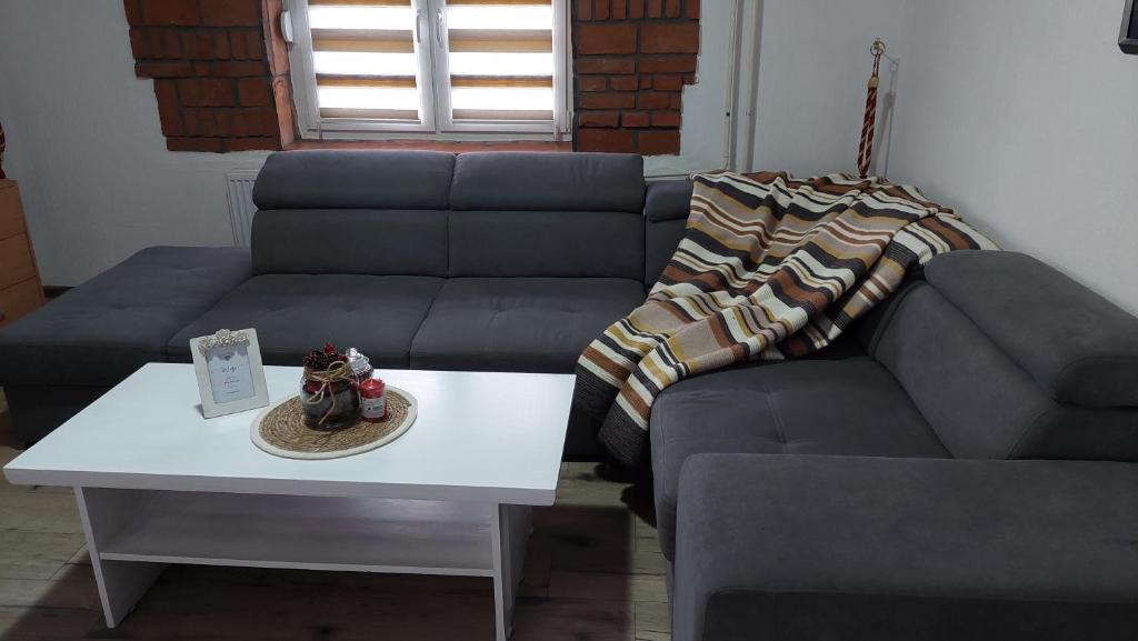 a living room with a couch and a table at Apartmani Bogatić 3 in Bogatić