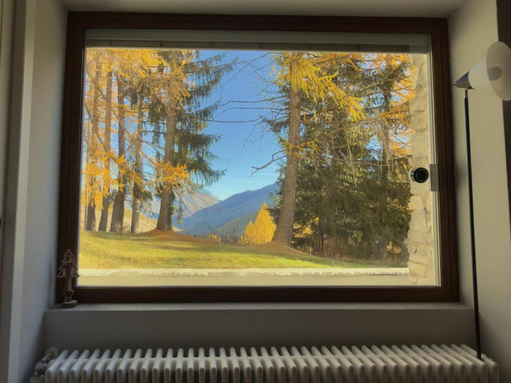 une fenêtre donnant sur une forêt d'automne dans l'établissement Moda Apartments G5, à Sestrières