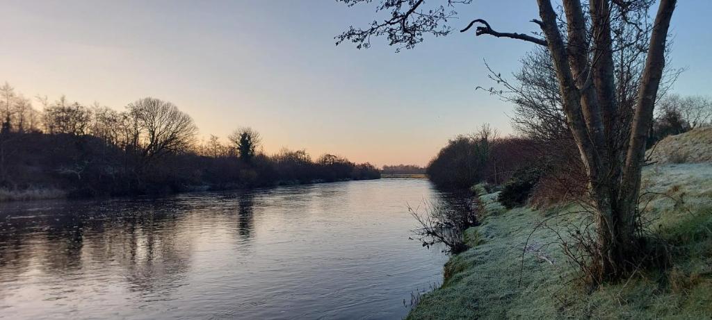 une rivière avec un arbre au bord dans l'établissement Crillaun Cottage, à Foxford
