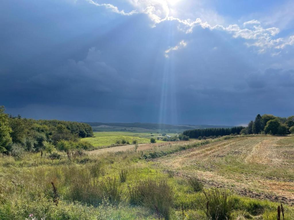 Příroda nedaleko prázdninového domu