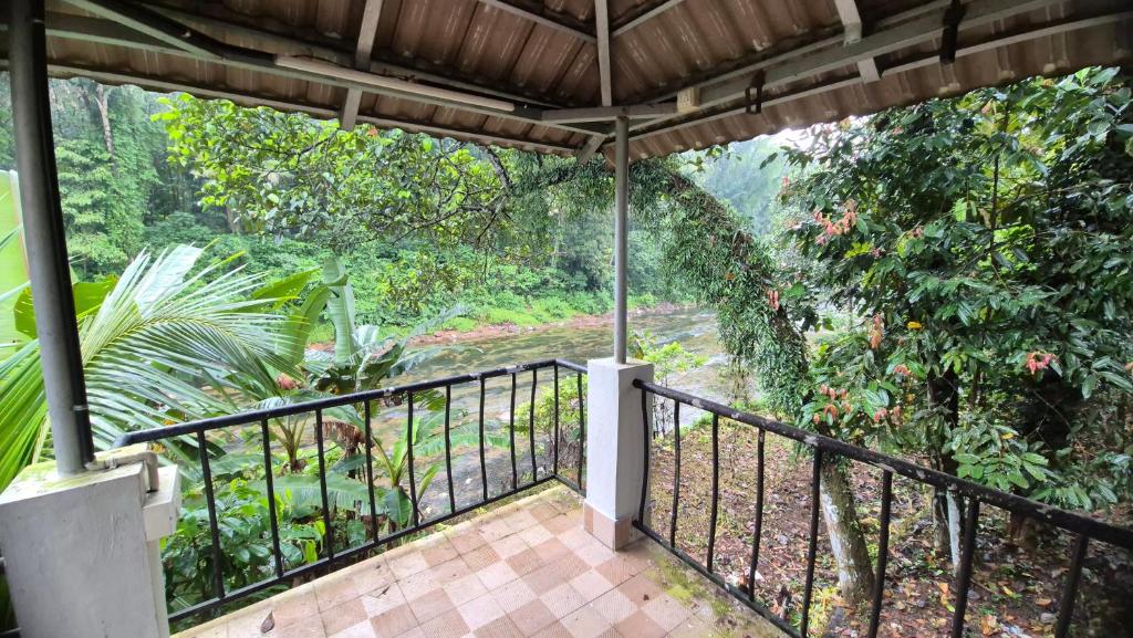 Κήπος έξω από το River Mist