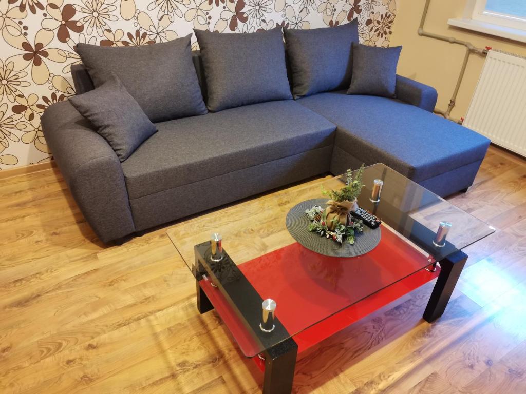 Χώρος καθιστικού στο Sunny apartment Kėdainiai