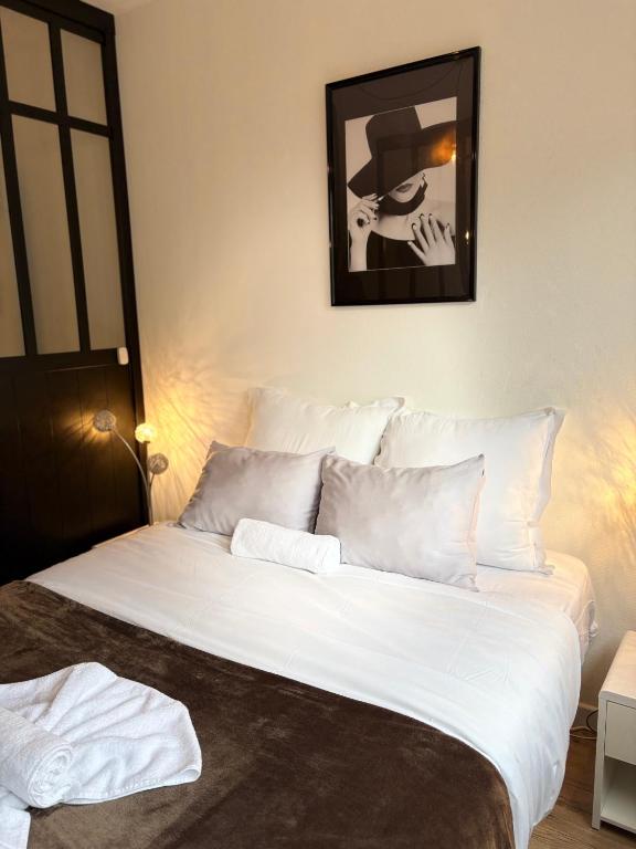 Magnifique logement hyper centre Mulhouse Lambert – photo 9