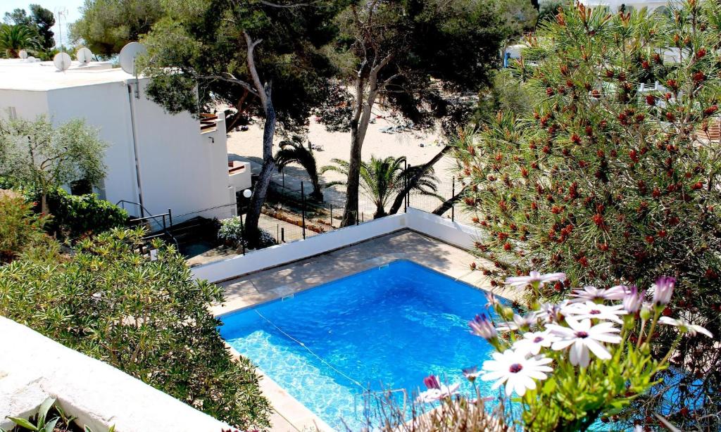 Bazén v ubytování Bungalow nebo v jeho okolí