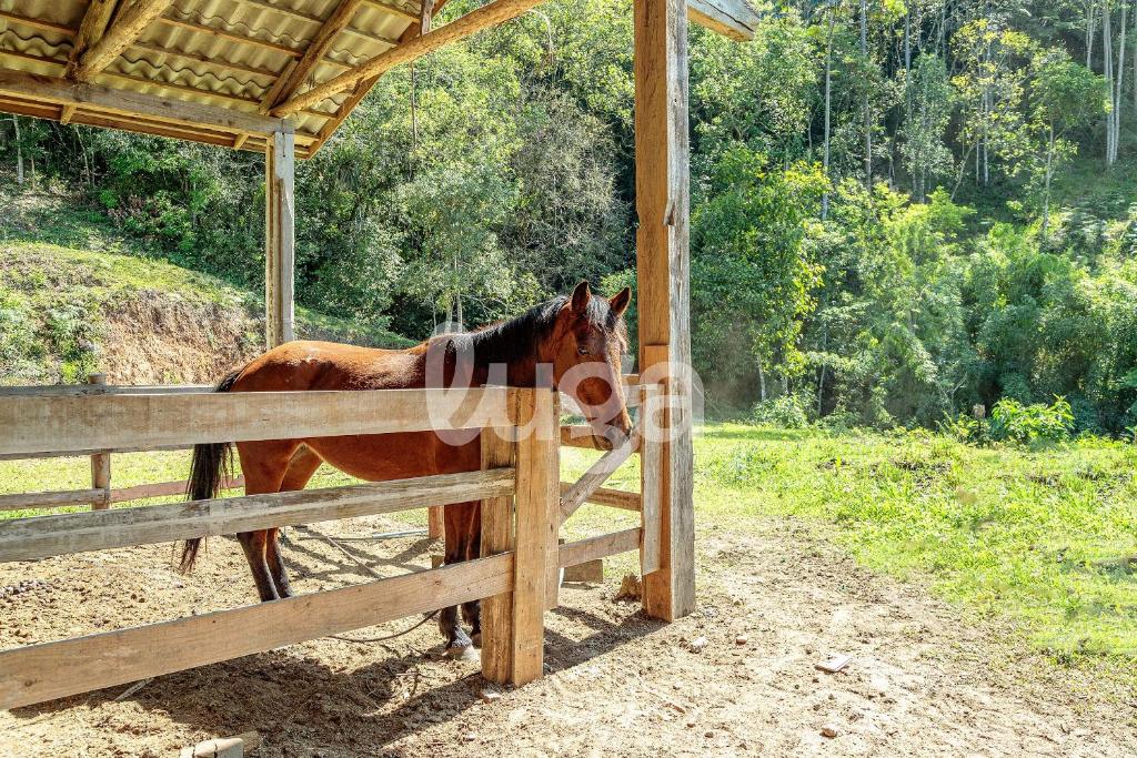 ein Pferd steht neben einem Holzzaun in der Unterkunft Vieira Eco Pousada #4 in Orleans