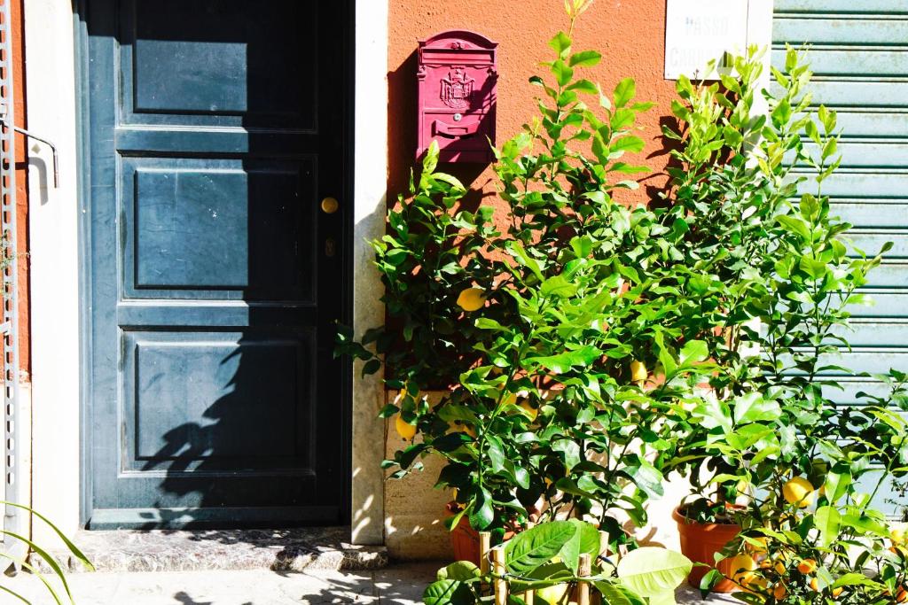 Κήπος έξω από το Casa Terrazza Marino