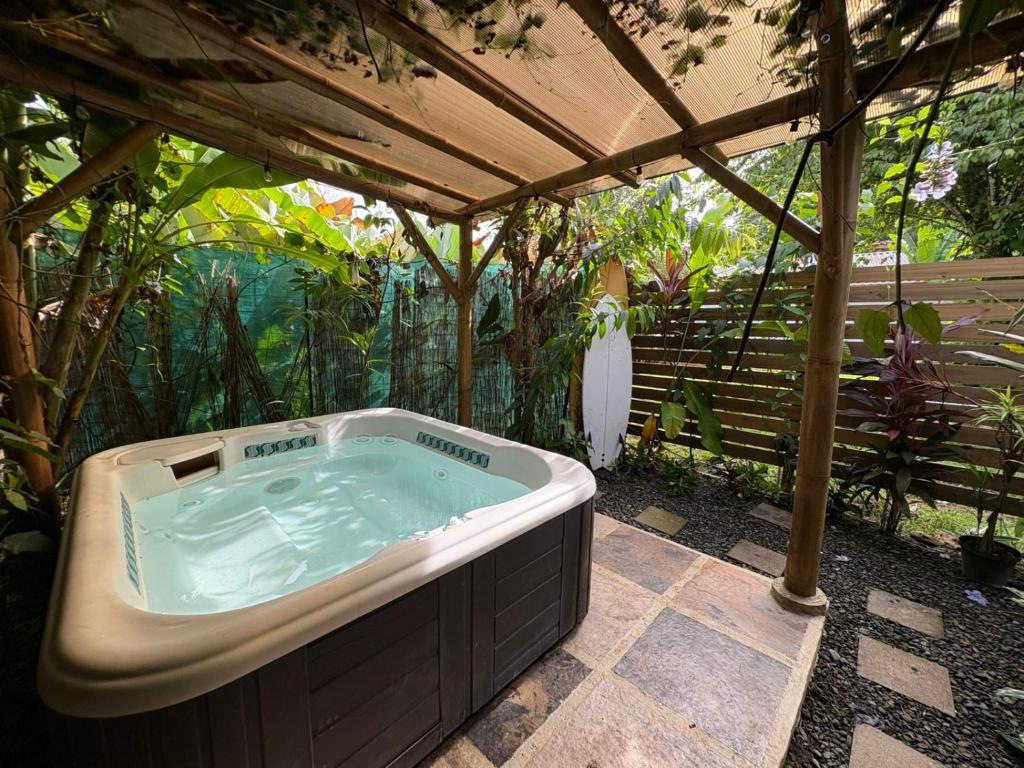 Κήπος έξω από το Colibrí Villa, 800 m from Beach