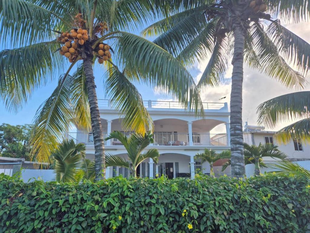 Κήπος έξω από το Beejan Mansions