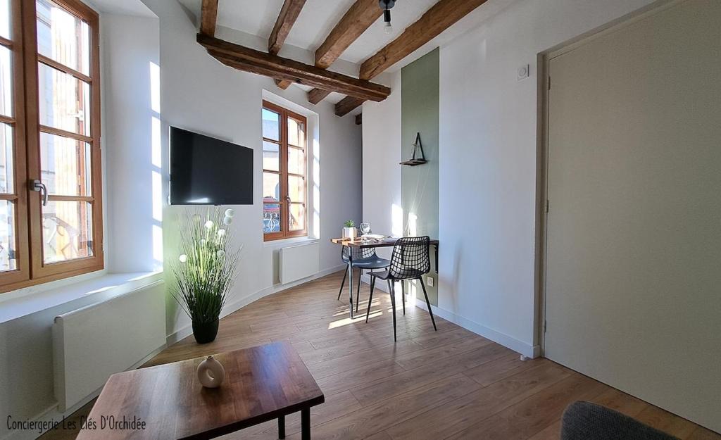 TV a/nebo společenská místnost v ubytování Les Clés Du Clocher