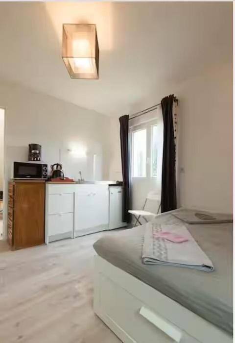 a white room with a bed and a kitchen at Envol du Phénix - Studio Phenix 20 m² avec jardin in Plouédern