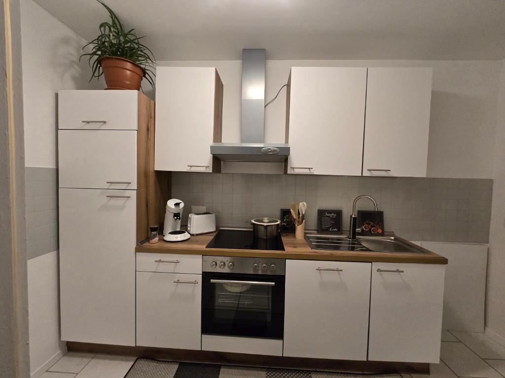 eine Küche mit weißen Schränken und einer Spüle in der Unterkunft Weierbacher Panorama in Idar-Oberstein