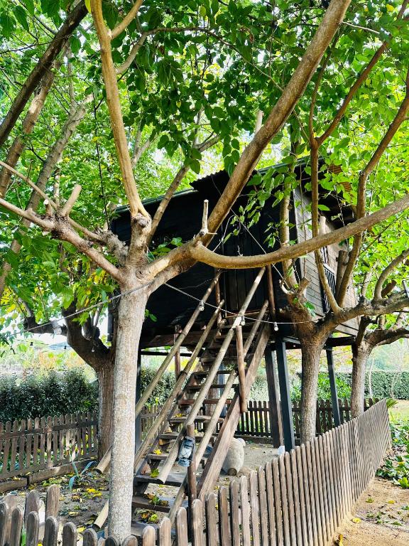 Nature Tree House Casa sobre los árboles - imagen 1