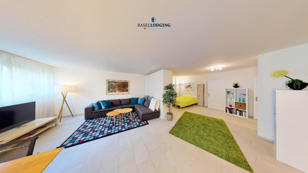 Un televizor și/sau centru de divertisment la Unique Serviced Living at Basel Waterfront 9001