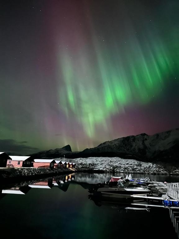 Kråkberget峡湾山林小屋的一群人站在北极光下的码头上