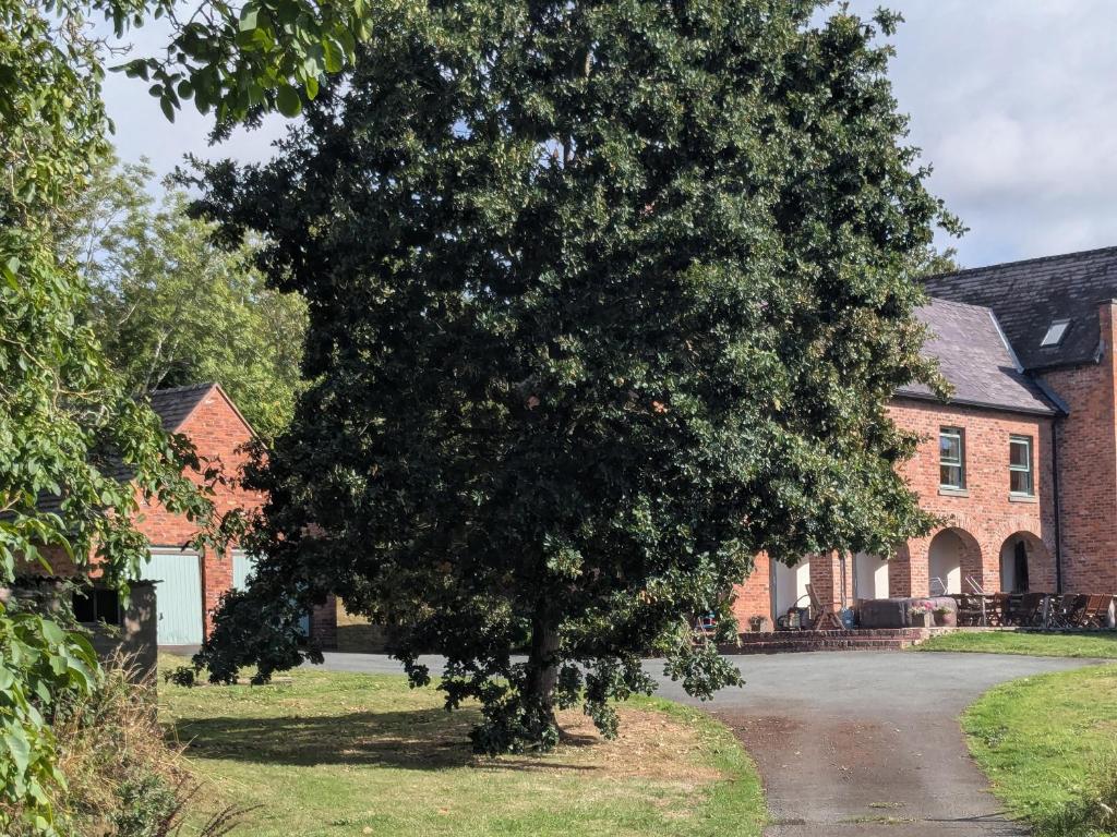 a large tree in front of a building at Gaer Hall in Guilsfield