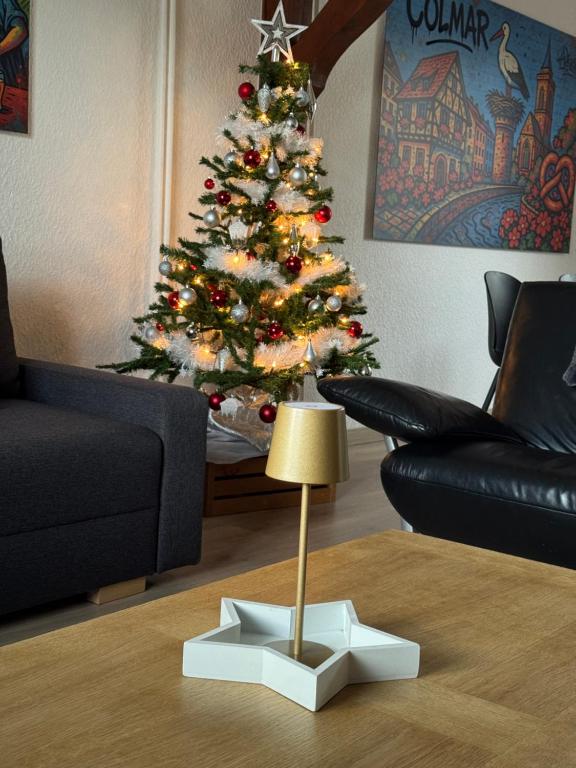 Just In Colmar, maison complète avec parking privé – photo 52