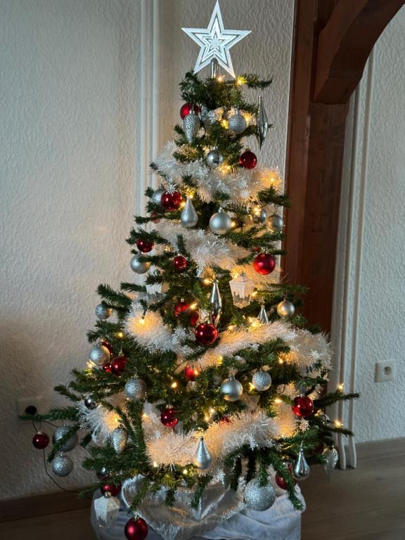 Just In Colmar, maison complète avec parking privé – photo 55