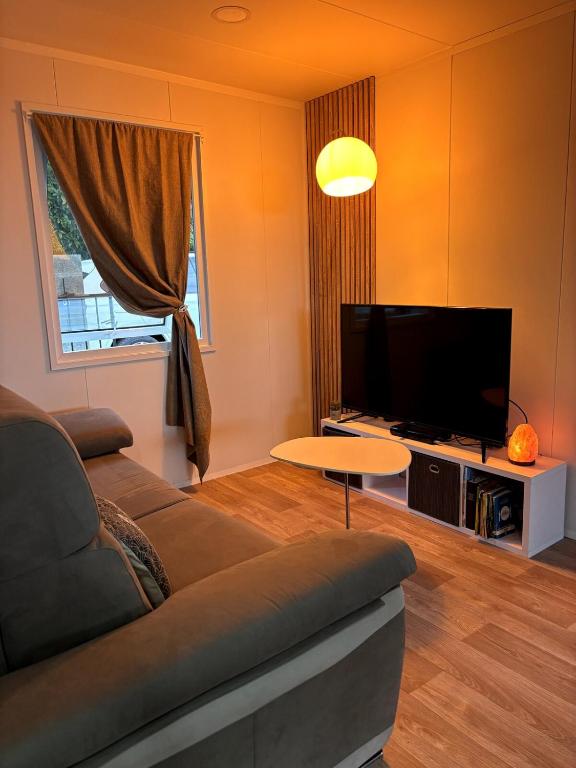 a living room with a couch and a flat screen tv at Cocoon'île in Sainte-Clotilde