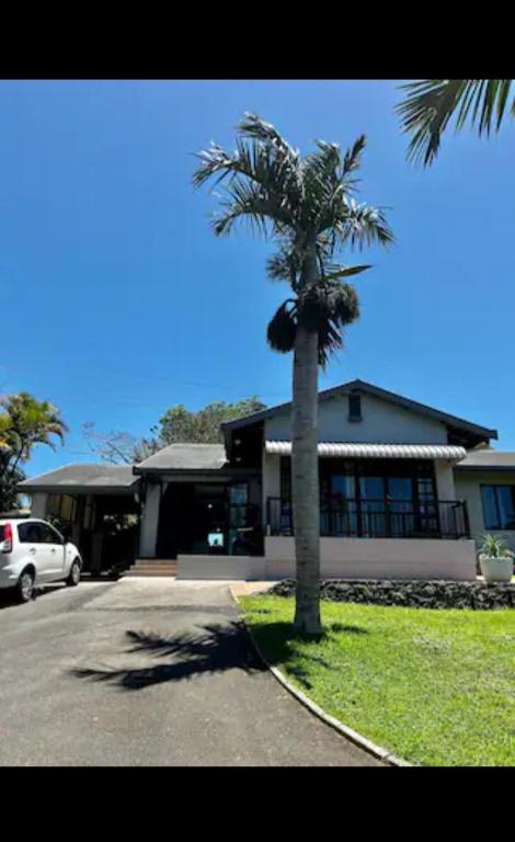 a palm tree in front of a house at Crump's Loft House in Durban