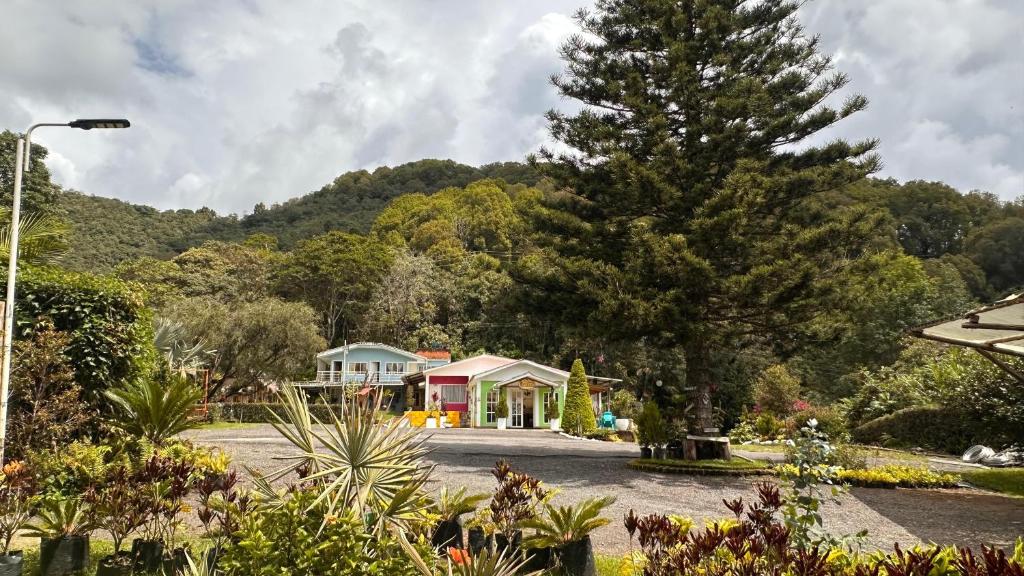een huis met een boom in het midden van een oprit bij Padua Finca Hotel in Chachagüí