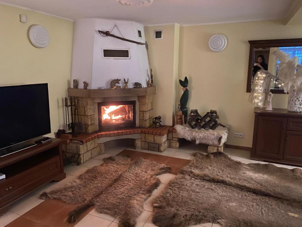 a living room with a fireplace and a television at Magiczny Dom nad Bugiem 