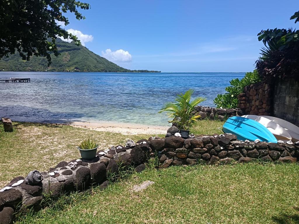 ein blaues Boot, das auf dem Gras in der Nähe des Wassers liegt in der Unterkunft La PERLE de MOOREA Fare HONU Bord de Lagon in Orufara
