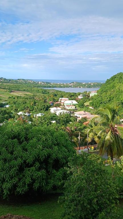 a view of a town with trees and a body of water at Les locations de Miche in Le Vauclin