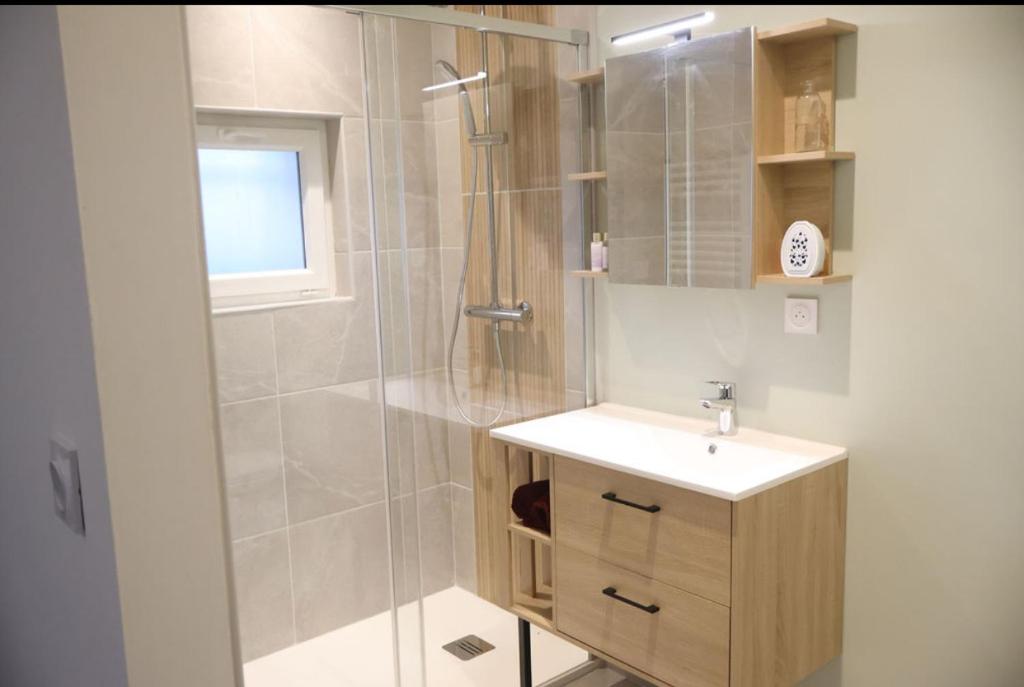 ein Badezimmer mit Dusche und Waschbecken und Dusche in der Unterkunft Cosy appartement proche saint emilion in Le Fieu