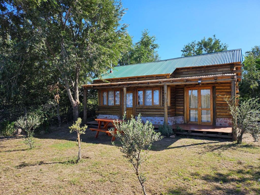 a log cabin with a picnic table in front of it at Sommerwind Cabañas in La Estancia