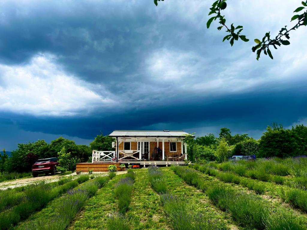 Zahrada ubytování Lavender lodge retreat