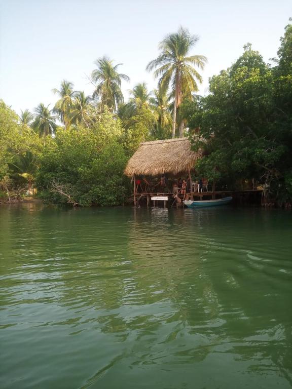 a hut on the river with a boat in the water at Chak in Tonalá