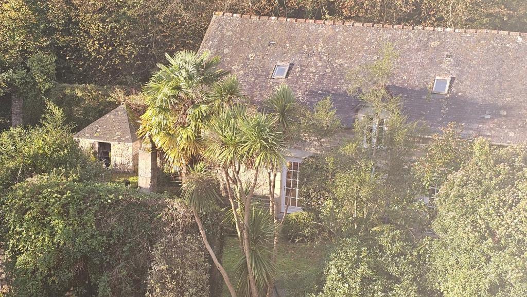 une vue aérienne sur une maison avec un palmier dans l'établissement Gîte de Charme Roz Maria - Parc clos, à Quintin