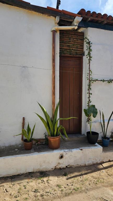 a house with potted plants in front of a door at Aconchego da cris in Lençóis