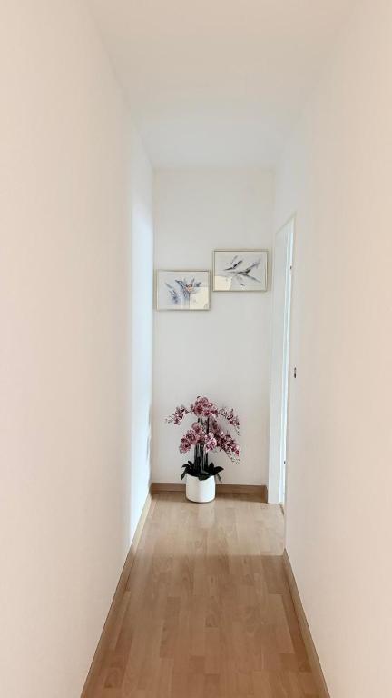 a hallway with a plant in a white room at Hostel City Basel 308 in Basel