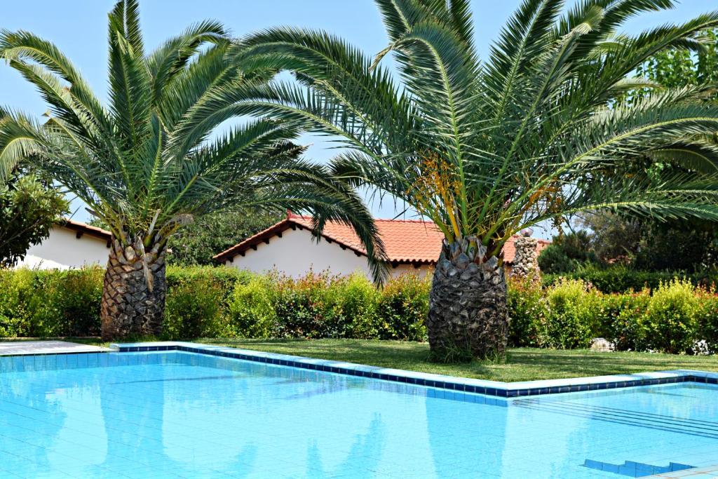 dos palmeras frente a una piscina en Aspalathos Villas, en Fílippos