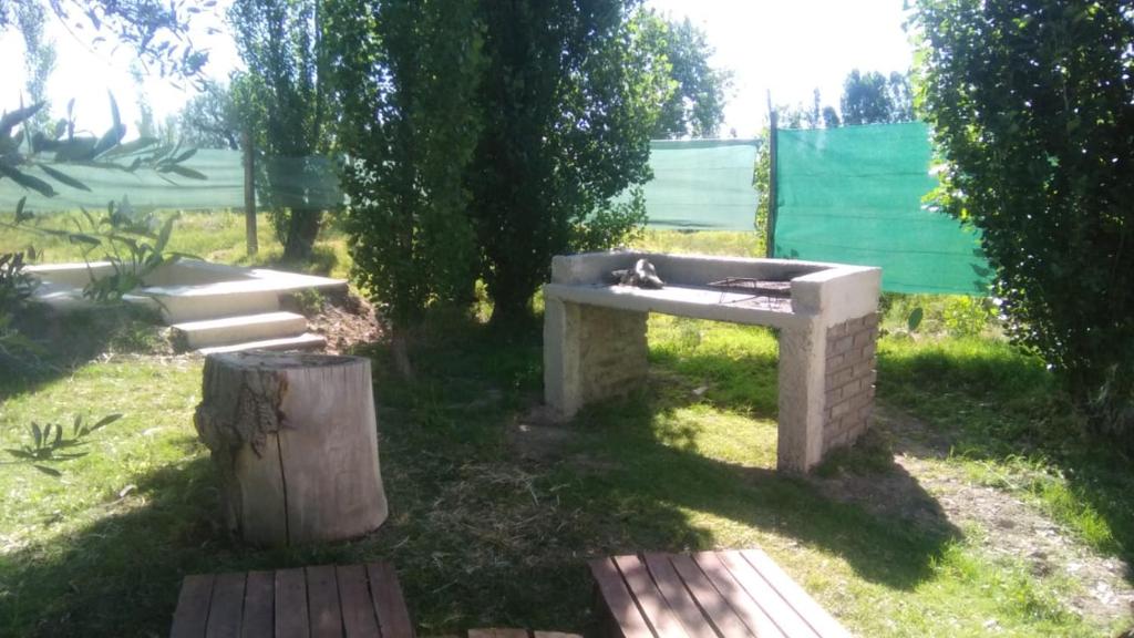 a cat sitting on a stone bench in the grass at Mendoza Junín aceptamos tarjetas in Junín