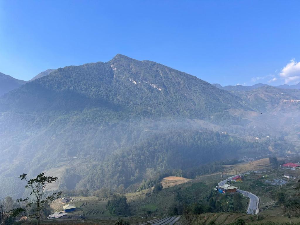 Lagom home - Cactus - 8