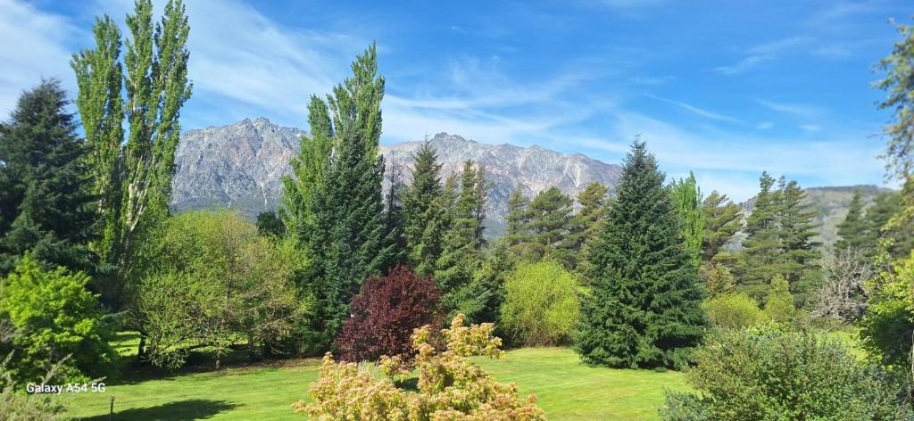 einen Garten mit Bäumen und Bergen im Hintergrund in der Unterkunft Hostería de Montaña Las Pataguas in El Hoyo