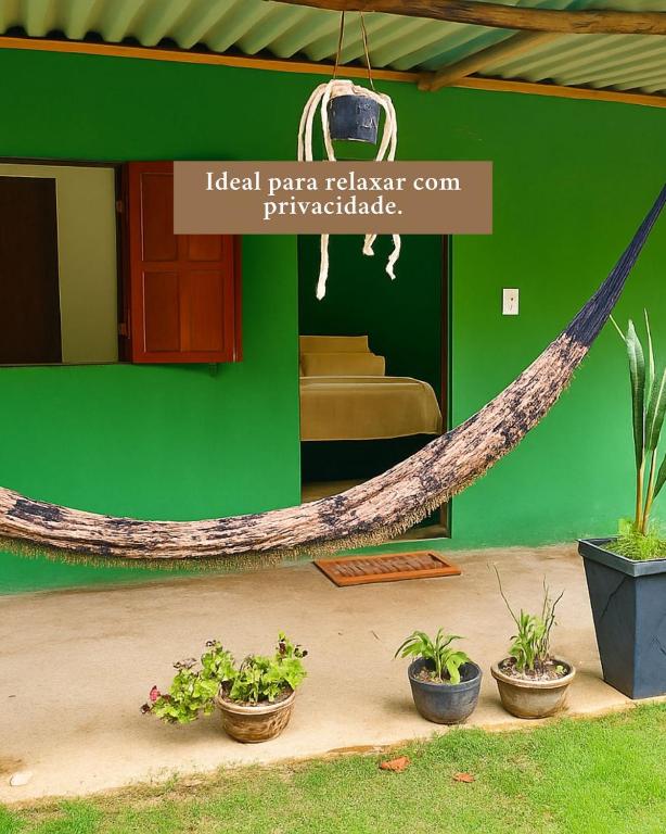 a hammock in a room with plants and a green wall at Sana Suítes in Macaé