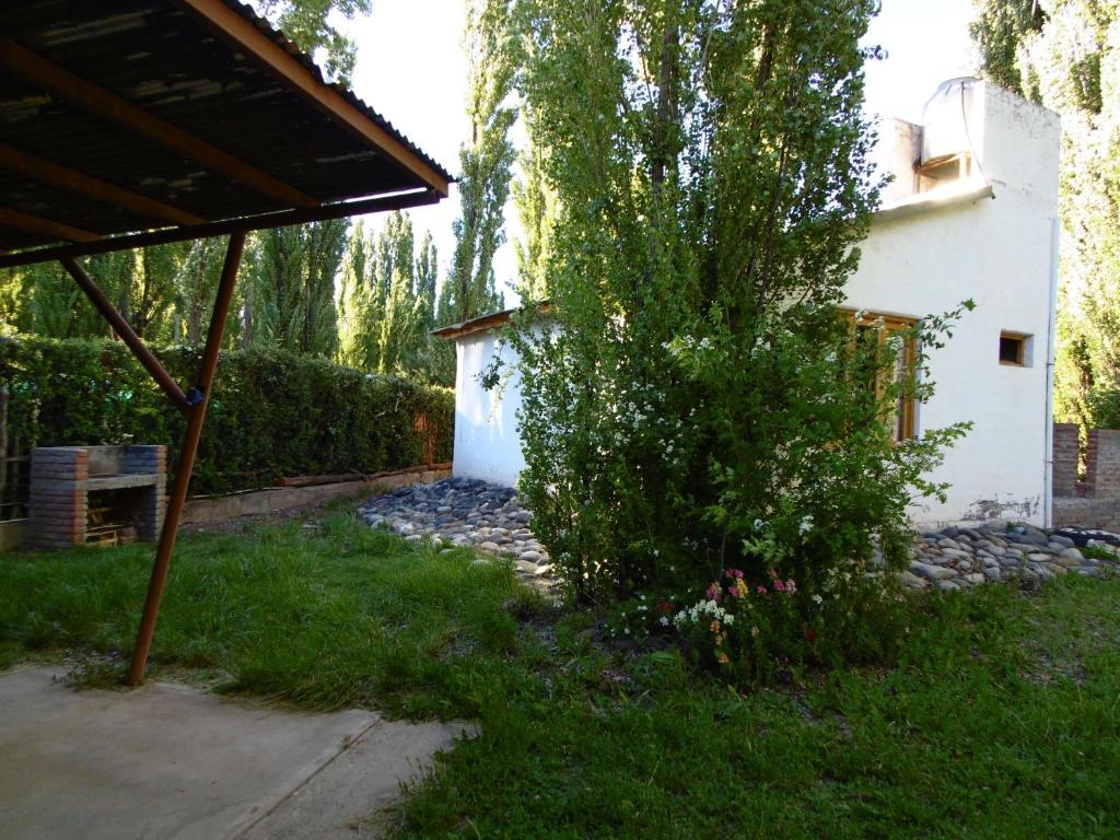 Los Abedules Bungalow - homestay