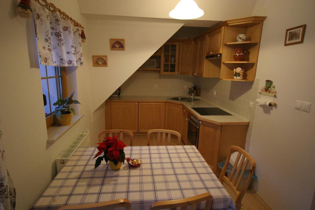 Kuchyň nebo kuchyňský kout v ubytování Apartments Karmen