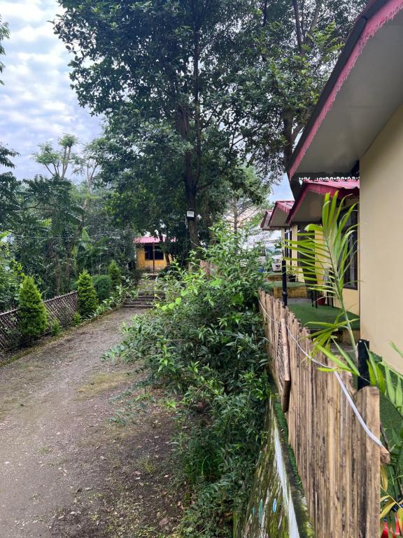 En have udenfor Chirping Nature Valley Resort and camp