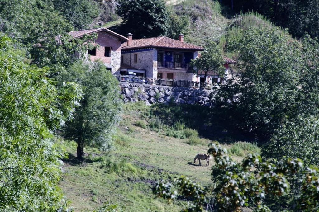 Labra的住宿－La casina de Berdayes，站在房子前面田野上的马