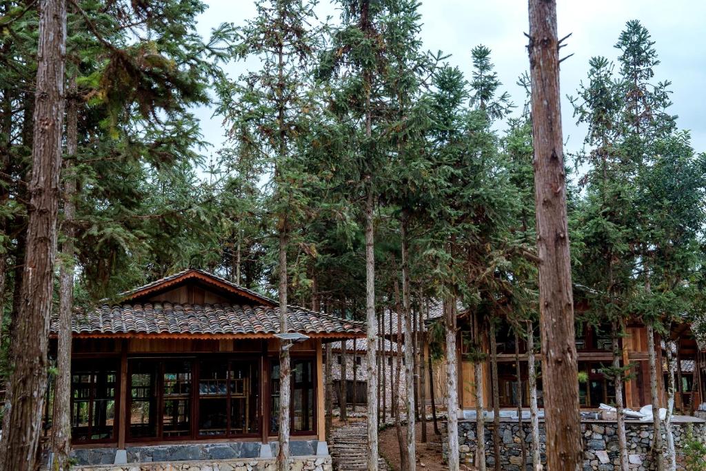 a house in the woods with trees at Balana HaGiang in Làng Lap